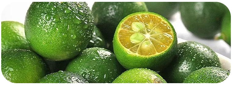 Té de maracuyá y naranja verde 250 g (10 g x 25 bolsas) x 2 paquetes